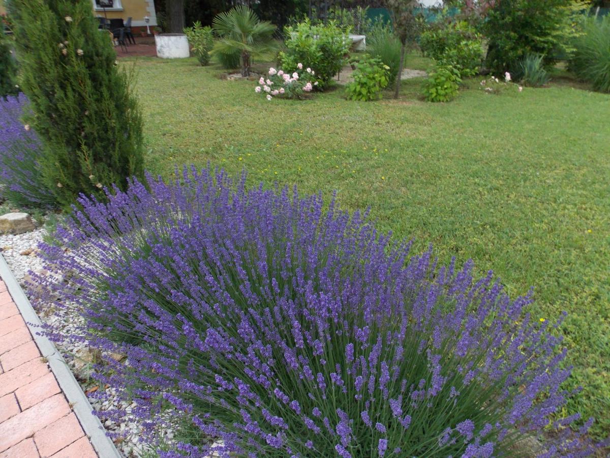 Éden Villa Családi Apartmanház Balatonfüred Exterior foto